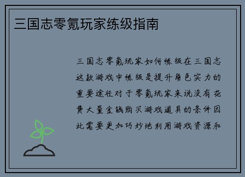 三国志零氪玩家练级指南