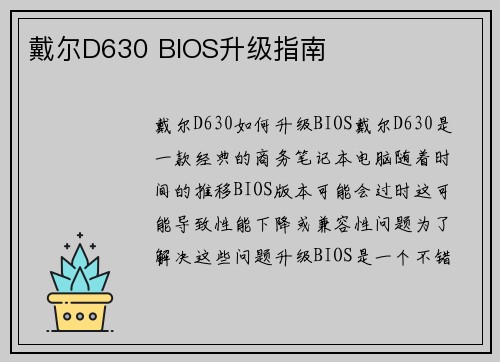 戴尔D630 BIOS升级指南